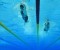 Portici, Nuoto: alla manifestazione “Campioni Campani”, brillante prestazione del giovane eclanese  Gregorio Papaleo