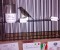 A Rosmalen (Olanda), il 63° Campionato Mondiale di Ornitologia: conquista il podio l’allevatore Franco Maurizio Maltese, nella sezione canarini razza “Spagnola”